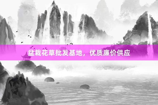 盆栽花草批发基地，优质廉价供应