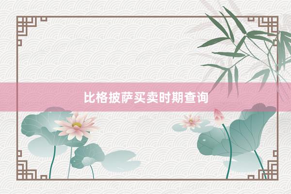 比格披萨买卖时期查询