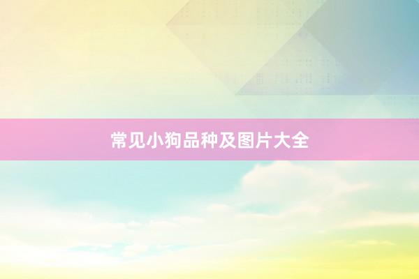 常见小狗品种及图片大全