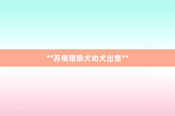 **苏俄猎狼犬幼犬出售**